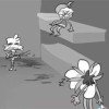 zakazku