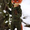 lis-vulpes-vulpes