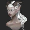 doronicum