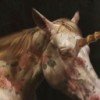 ab-oculis-aliorum
