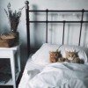 girl-in-dreams