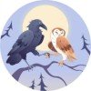 sleepy-owl-0