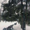 vetkae