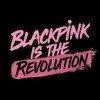 kingdom-of-blinks