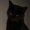 catlboro