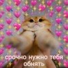 bitchgirl013