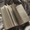 dariasmallwriter