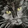 narinman1