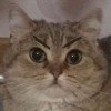 user54618107