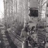 savchuk-s