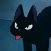 sofia7957