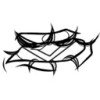 illuuz