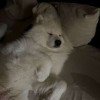 user44406771