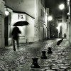 staffi257