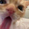 user364819023
