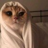 maryshkamary