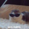 gora-problem