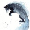 light-night163
