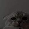 user52996917