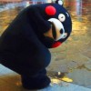 kumamooooon