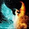 fenix-faro