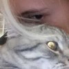 vkooktekook55
