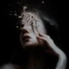 crow-black08