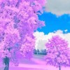 user41149603