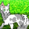 blu-cat888