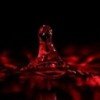 venominsilk