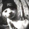 mysticbyte03