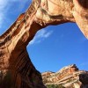 lisovetzzz