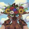 dragonwing26