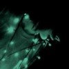 woolf-akura
