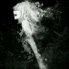 fanybanny