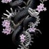 lilia636