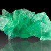 green-leaf251