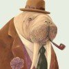 walrus-stas