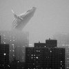 googlefog