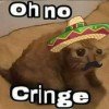sahara-cringe