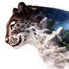 snowleopard550