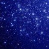 starry-nobody