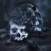 sppikallets