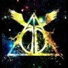 phoenix-wild