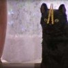 bloodstainedknife