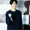 alinka-seokjin