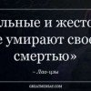 witcher031445