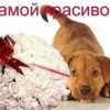 user15605878