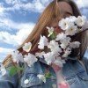 aminsflor