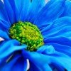 user01619145